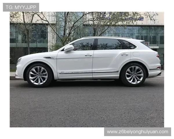 尊龙现金下载官网网址:一站式享受高品质游戏体验 尊龙现金下载官网网址:一站式享受高品质游戏体验