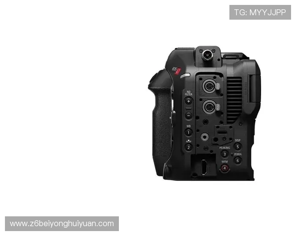 尊龙z6官方手机版安全性与使用技巧全方位解析 尊龙z6官方手机版安全性与使用技巧全方位解析