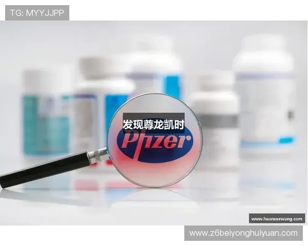 尊龙集团(Z6)的品牌建设与市场推广策略详解 尊龙集团(Z6)的品牌建设与市场推广策略详解