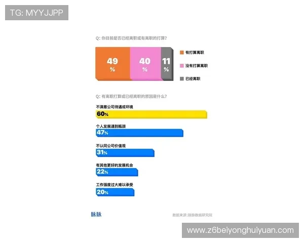 凯时官网下载入口:官方渠道快速下载,避免假冒网站带来的风险 凯时官网下载入口:官方渠道快速下载,避免假冒网站带来的风险
